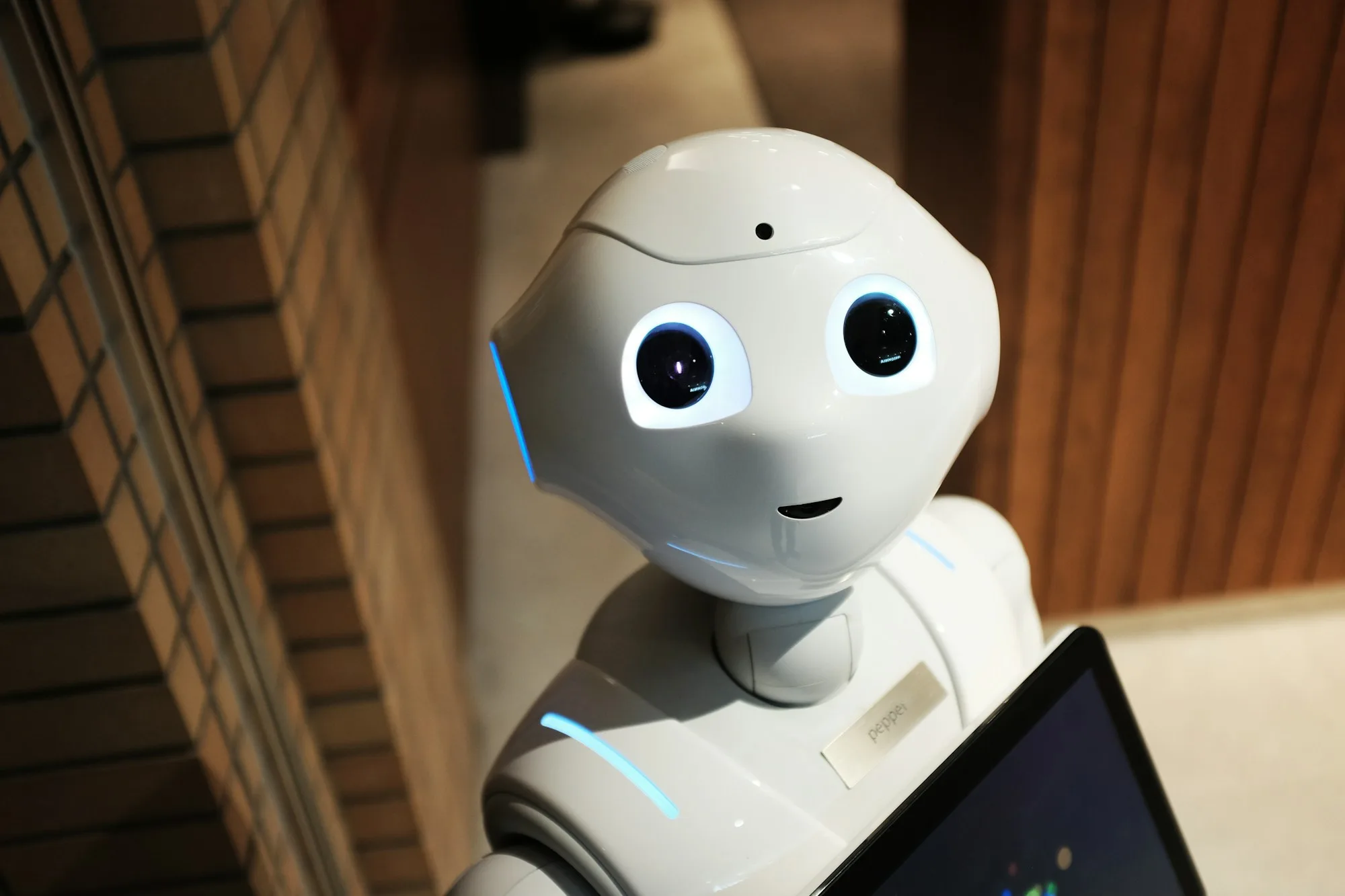 White humanoid service robot facing the camera